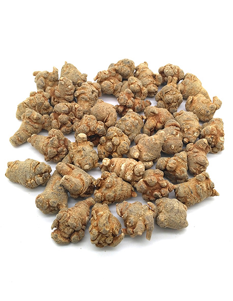 質(zhì)量上乘的三七