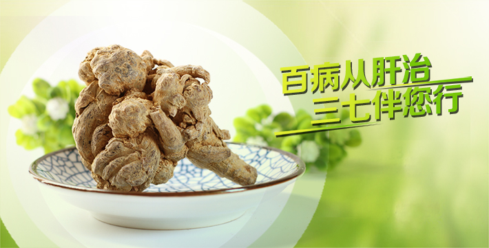  百病從肝治，三七伴您行