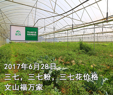 今日三七價格