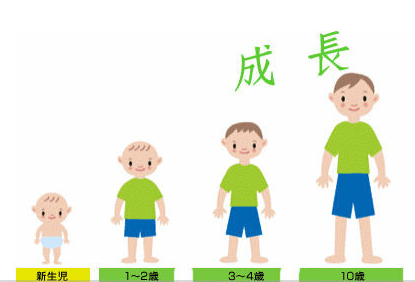 吃三七可以長高嗎？