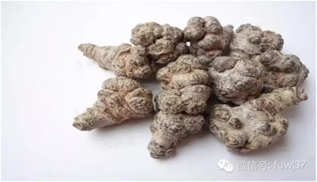 打蠟三七