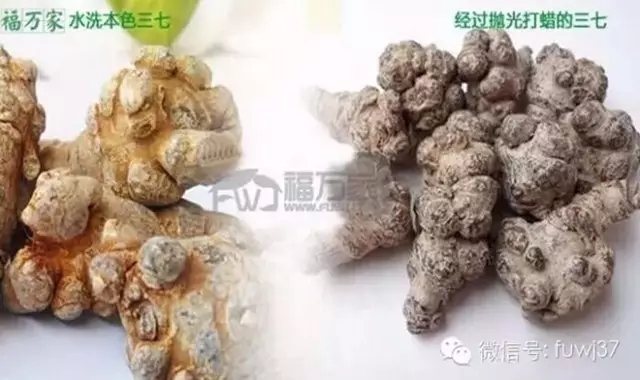 打蠟三七