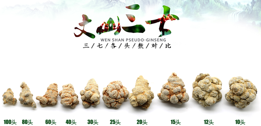 三七頭數(shù)對比圖