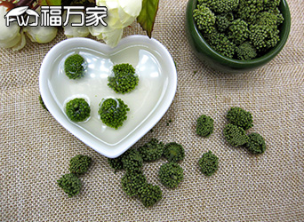 三七花泡水喝