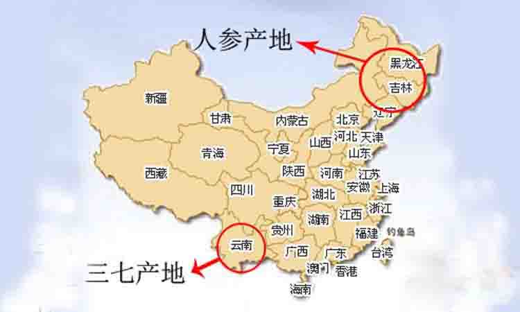 北人參，南三七