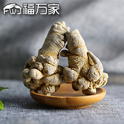 文山三七