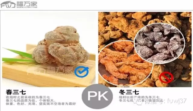 春七和冬七對比圖