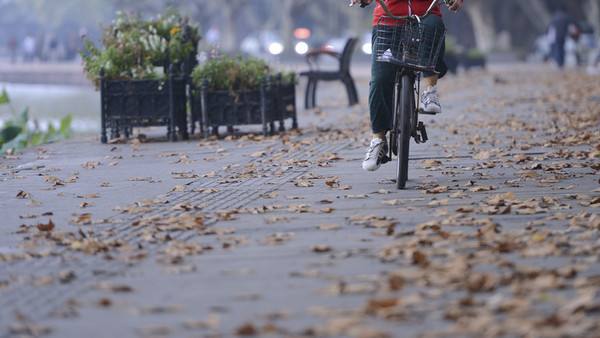 天氣慢慢開始降溫了