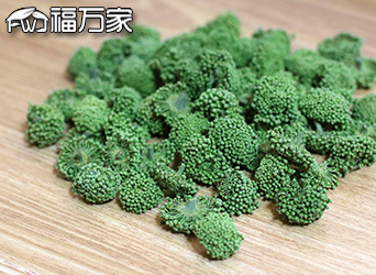 三七花與人參花