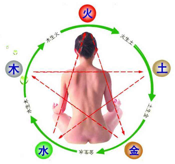 身體五行圖，與云南三七的關(guān)系