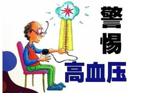 三七能有效緩解血壓高的問題