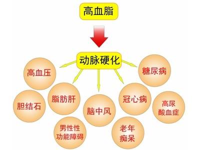 高血脂的危害