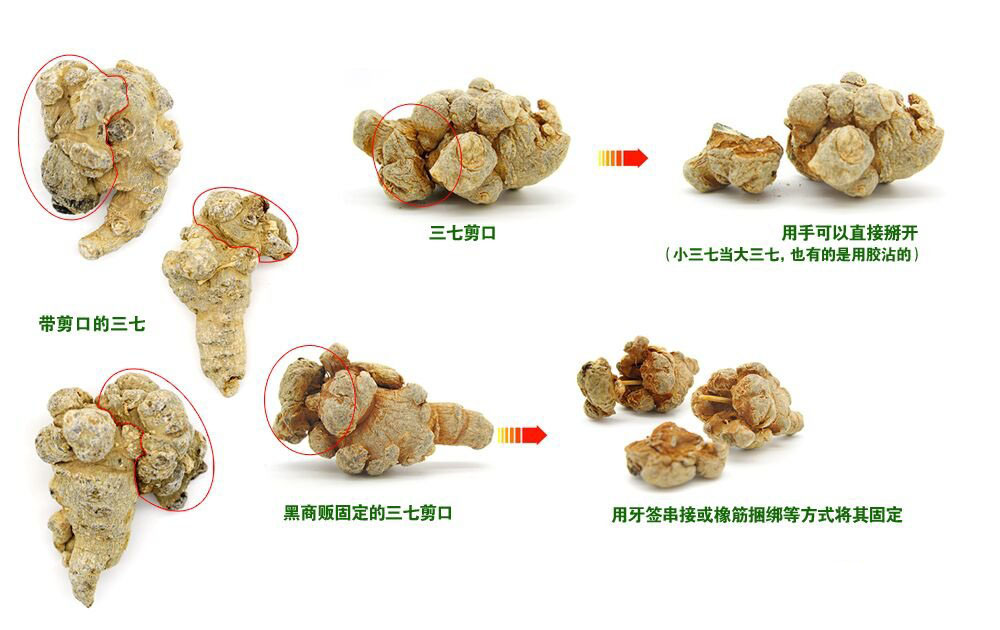 識(shí)別三七剪口