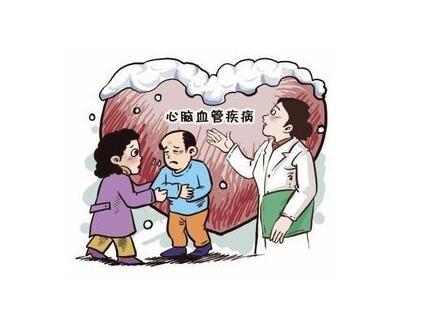 三七可以有效防止心腦血管疾病