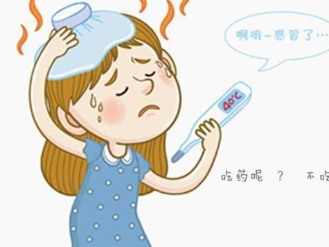 感冒時不能服用三七