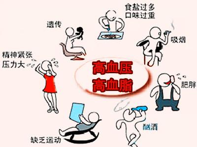 高血壓高血脂