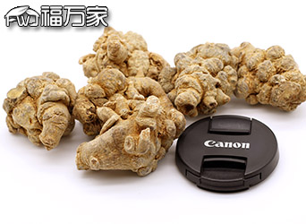 高品質(zhì)的文山三七