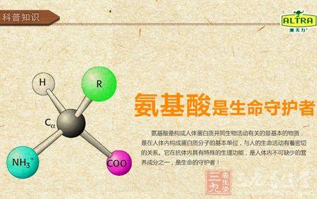 氨基酸是生命的守護(hù)者
