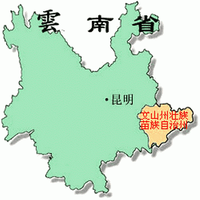 買三七請認準(zhǔn)云南文山三七