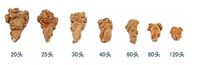 三七頭數(shù)