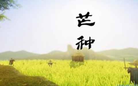 今天是二十節(jié)氣中的“芒種”