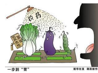 避免農(nóng)藥影響三七質(zhì)量