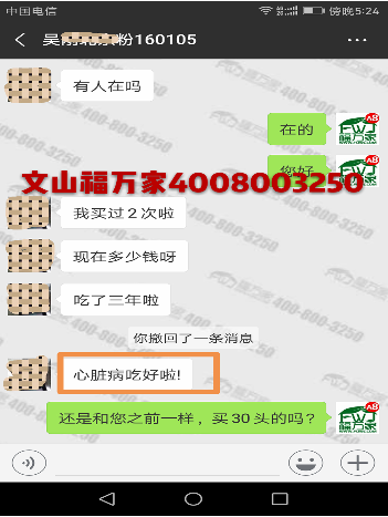 三七粉客服反饋