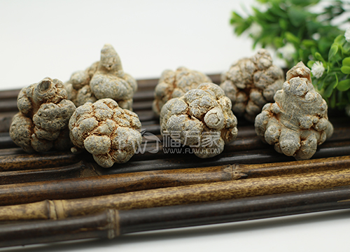  20頭三七
