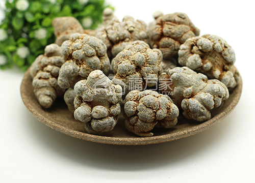 20頭三七