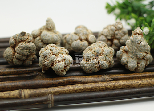 20頭三七