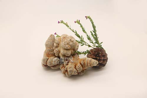 三七粉價(jià)格為什么比有些商家貴？