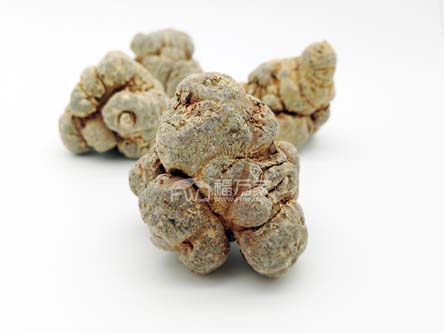 60頭三七的功效怎么樣？