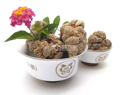 三七粉哪里的最好？