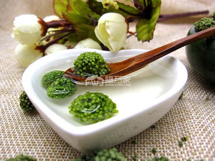 三七花哪里有賣的？