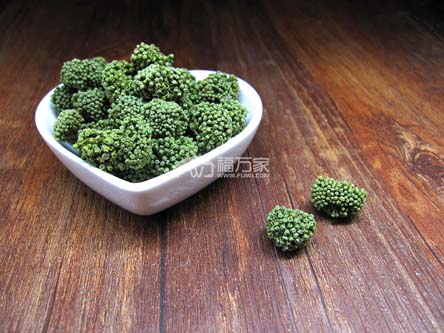 三七花哪里有賣的？