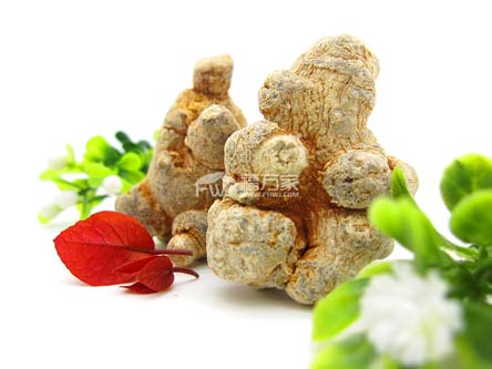 三七粉怎么吃？