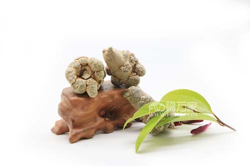 三七粉直接吃或直接喝可以嗎