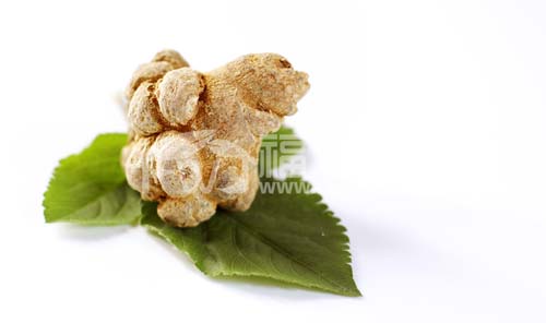 長(zhǎng)期服用三七粉中間要不要停一下