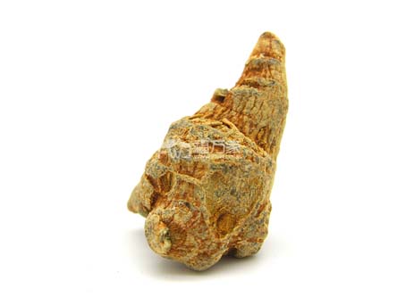 身體健康可以吃三七粉