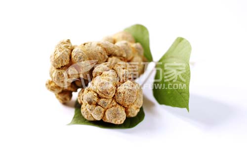 三七的大小與效果