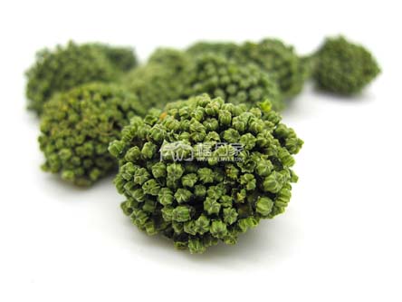 三七花哪里有賣的