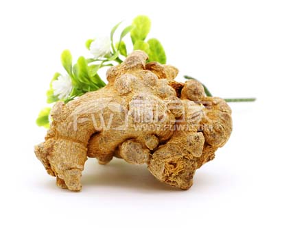 田七的功效與作用