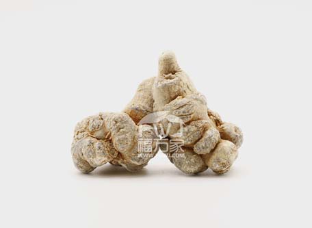 三七粉能降血壓嗎