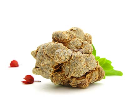三七粉治療什么