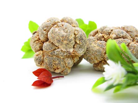 三七哪里產(chǎn)的最好