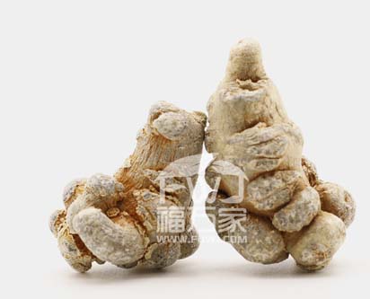20頭三七多少錢一斤