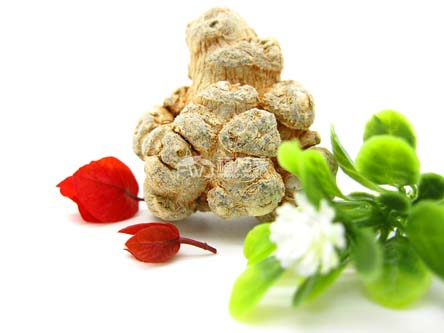 三七頭數(shù)多好還是少好