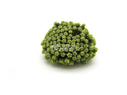 三七花茶能長(zhǎng)期喝嗎