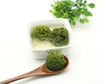 不是山七花是三七花