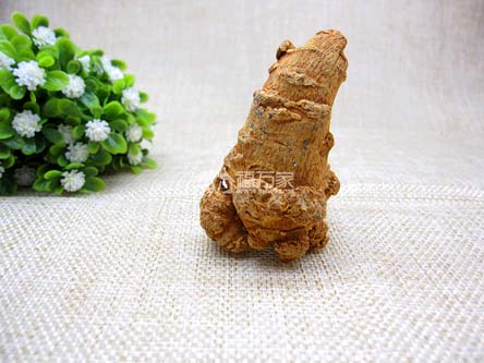 三七生長環(huán)境